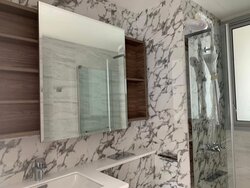 Commonwealth Drive (D3), Condominium #455935961